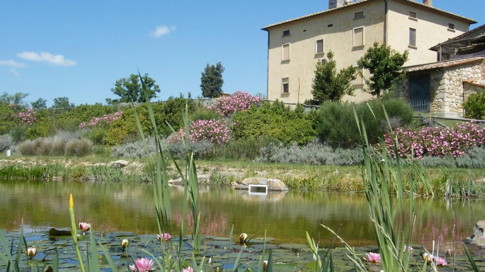 Country house San Paolo Farm, Wifi, Pool, Val Di Cecina Guest House Montecastelli Pisano